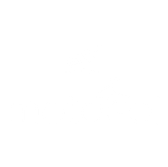 Motogol Honda